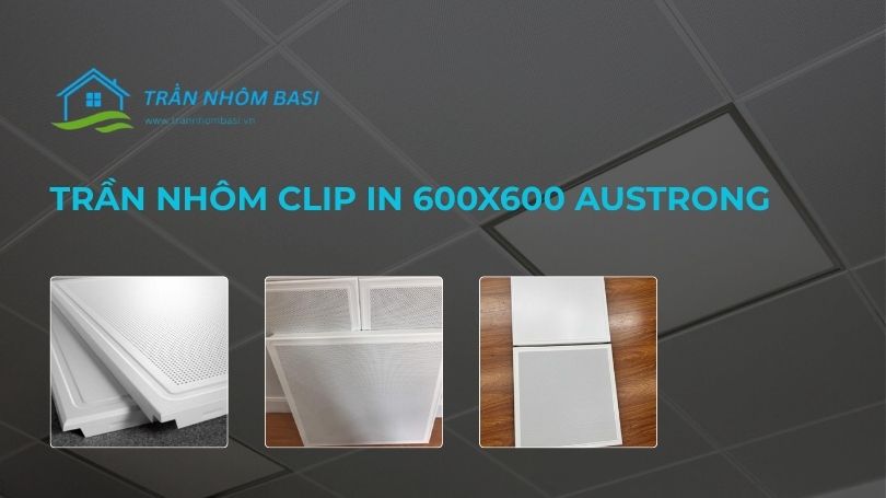 trần nhôm clip in 600x600 austrong