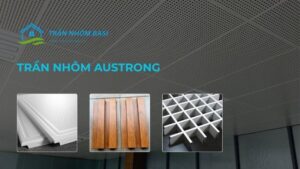 trần nhôm austrong