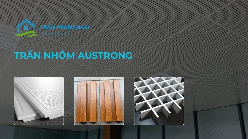 trần nhôm austrong
