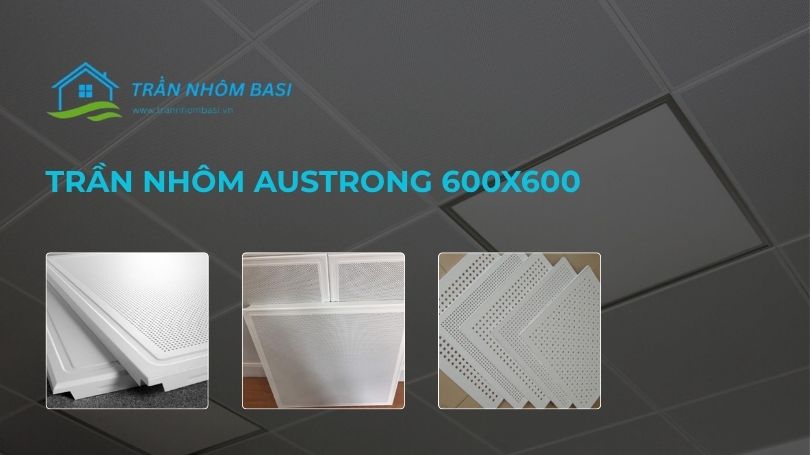 trần nhôm austrong 600x600